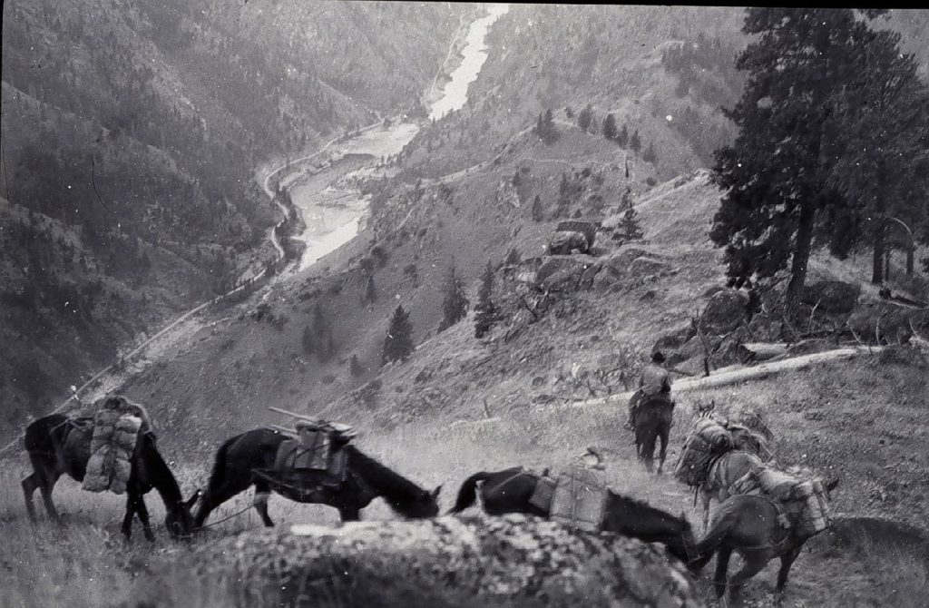 Salmon River Canyon